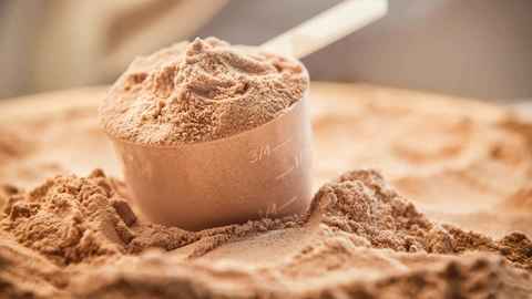 Top 5 Budget Whey Protein Powder in India 2020